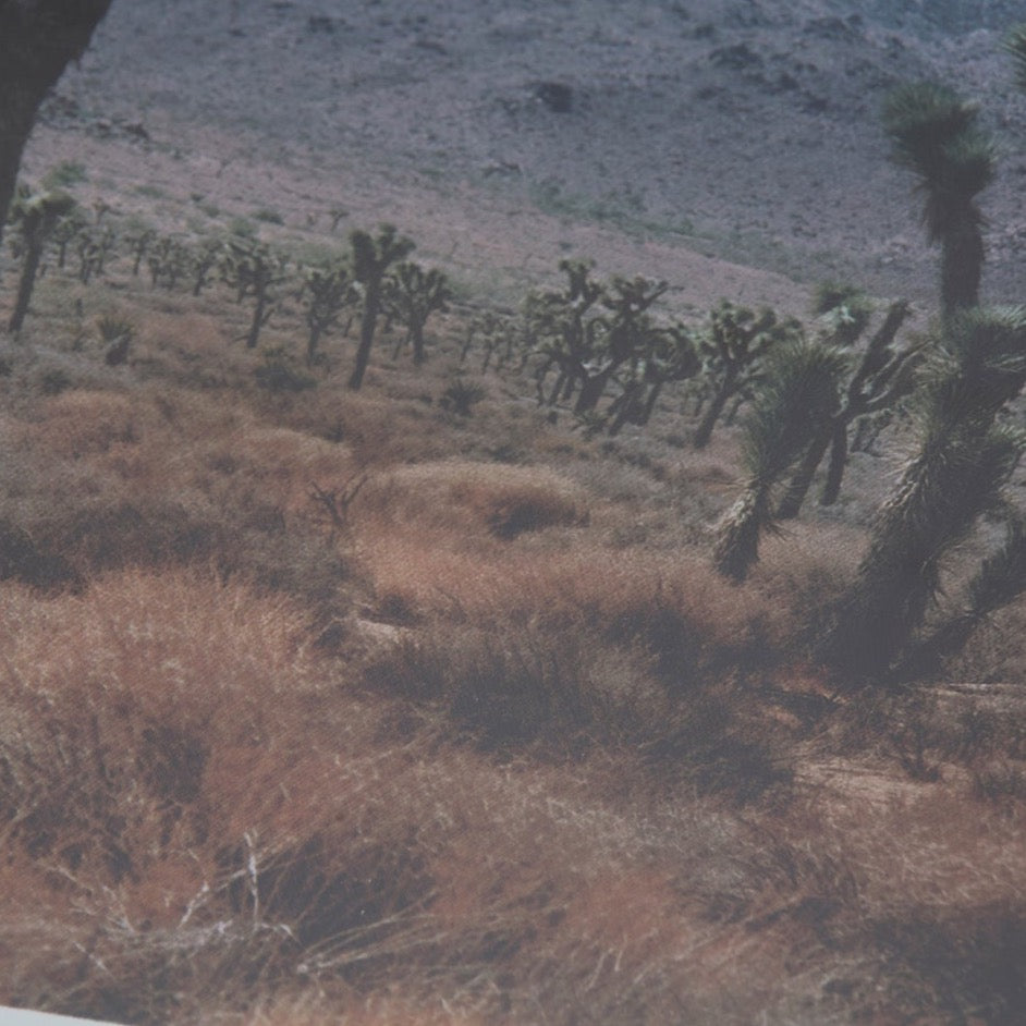 Desert Land Framed Print