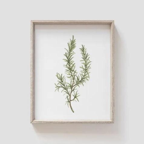 Rosemary Artwork - Birch and Bind