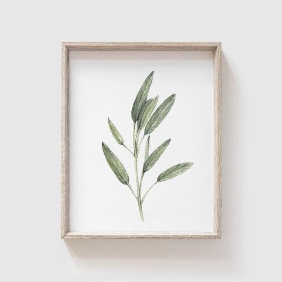 Sage Artwork - Birch and Bind