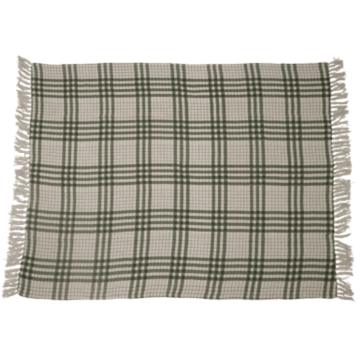 Woven Printed Plaid Throw with Fringe - Birch and Bind